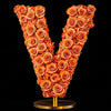 Vesta Orange Rose Letter V Lamp - Imaginary Worlds