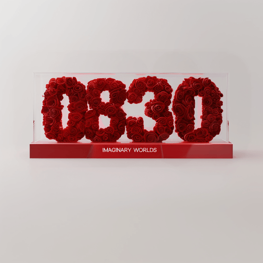 Virgo 830 Rose Box – Practicality, Balance, and Insight - Imaginary Worlds