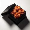 Vivid Orange Forever Roses in Black Velvet Box - Imaginary Worlds