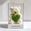 White Rose Bear with Green Roses Heart - Imaginary Worlds