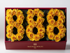 Yellow Roses 888 Rose Box