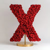 Xanthos Red Rose Letter X Lamp - Imaginary Worlds