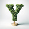 Yale Green Rose Letter Y Lamp - Imaginary Worlds