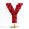 Yale Red Rose Letter Y Lamp - Imaginary Worlds