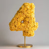 Yellow Rose Eternal Number 4 Lamp - Imaginary Worlds