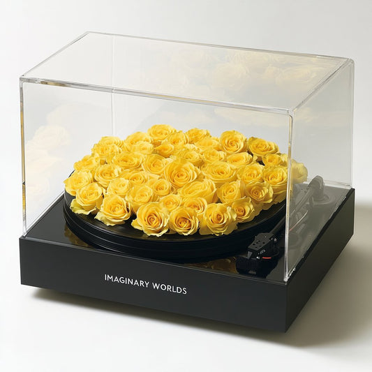 Yellow Rose Vinyl Speaker - Imaginary Worlds