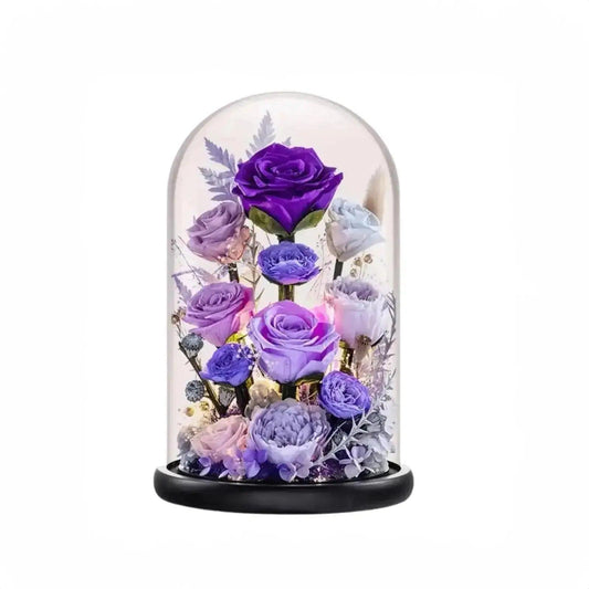 11 Purple Rose Set - Imaginary Worlds