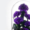 9 Purple Rose Set - Imaginary Worlds