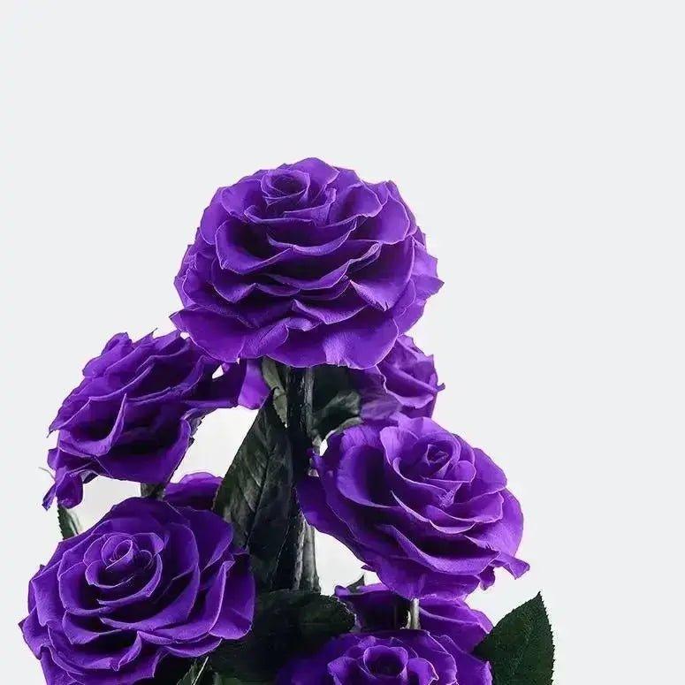 9 Purple Rose Set - Imaginary Worlds