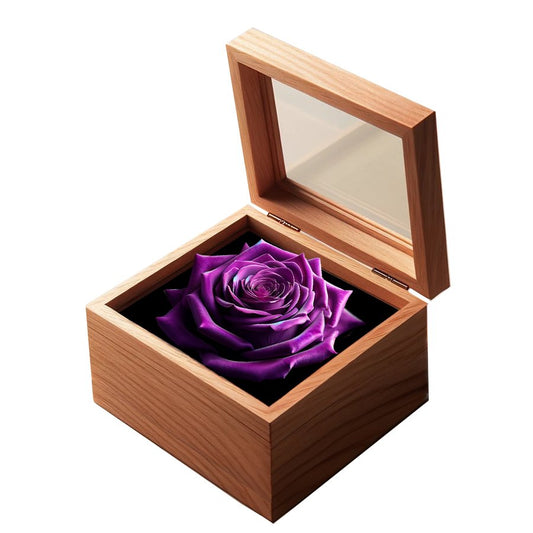 Single Rosewood Elegance in Wooden Box - Imaginary Worlds